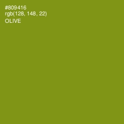 #809416 - Olive Color Image