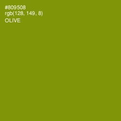 #809508 - Olive Color Image