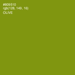 #809510 - Olive Color Image