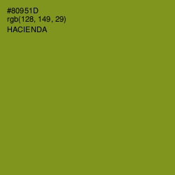 #80951D - Hacienda Color Image