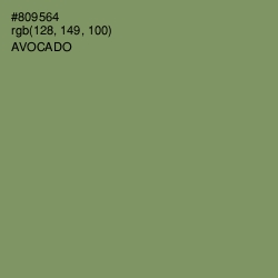 #809564 - Avocado Color Image