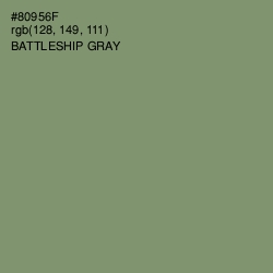 #80956F - Battleship Gray Color Image