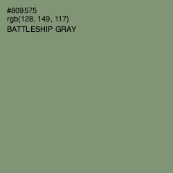 #809575 - Battleship Gray Color Image