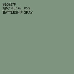 #80957F - Battleship Gray Color Image