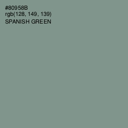 #80958B - Spanish Green Color Image