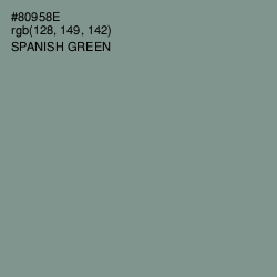 #80958E - Spanish Green Color Image