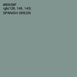 #80958F - Spanish Green Color Image