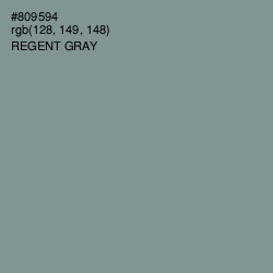 #809594 - Regent Gray Color Image