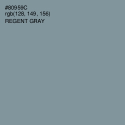 #80959C - Regent Gray Color Image