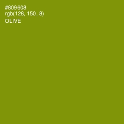 #809608 - Olive Color Image