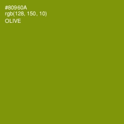 #80960A - Olive Color Image