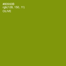 #80960B - Olive Color Image