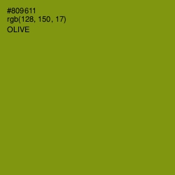 #809611 - Olive Color Image