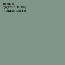 #809689 - Spanish Green Color Image