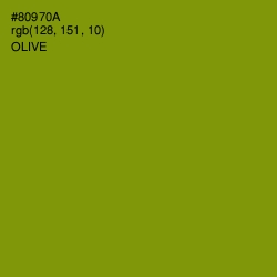 #80970A - Olive Color Image