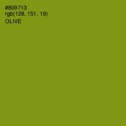 #809713 - Olive Color Image