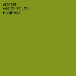 #80971B - Hacienda Color Image