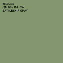 #80976B - Battleship Gray Color Image