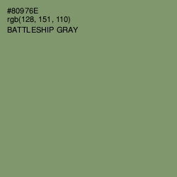 #80976E - Battleship Gray Color Image