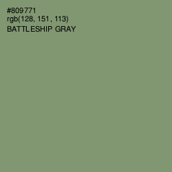 #809771 - Battleship Gray Color Image