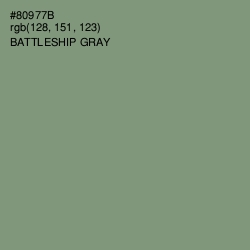 #80977B - Battleship Gray Color Image