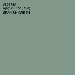 #80978A - Spanish Green Color Image