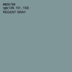 #809799 - Regent Gray Color Image