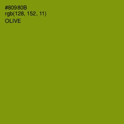 #80980B - Olive Color Image