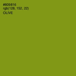 #809816 - Olive Color Image