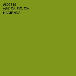 #809819 - Hacienda Color Image