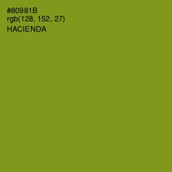 #80981B - Hacienda Color Image