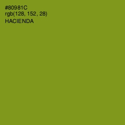 #80981C - Hacienda Color Image