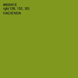 #80981E - Hacienda Color Image