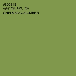 #80984B - Chelsea Cucumber Color Image