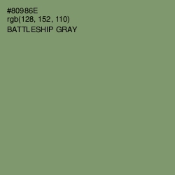 #80986E - Battleship Gray Color Image