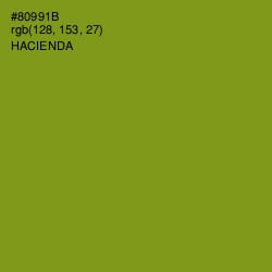 #80991B - Hacienda Color Image