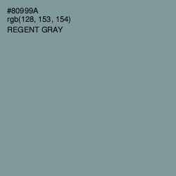 #80999A - Regent Gray Color Image