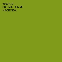 #809A19 - Hacienda Color Image