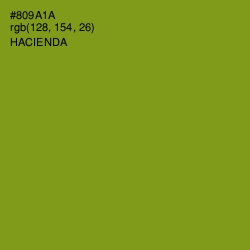 #809A1A - Hacienda Color Image