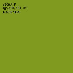 #809A1F - Hacienda Color Image