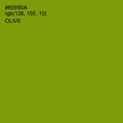 #809B0A - Olive Color Image