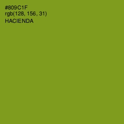 #809C1F - Hacienda Color Image