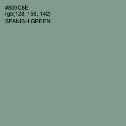 #809C8E - Spanish Green Color Image