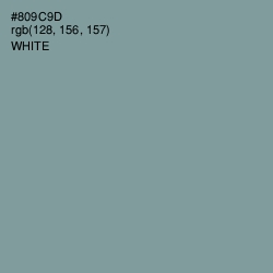 #809C9D - Regent Gray Color Image
