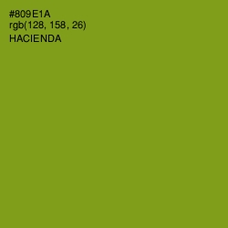 #809E1A - Hacienda Color Image