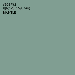 #809F92 - Mantle Color Image