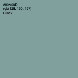 #80A09D - Envy Color Image