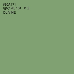 #80A171 - Olivine Color Image