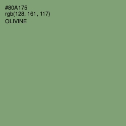 #80A175 - Olivine Color Image