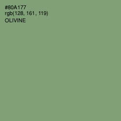 #80A177 - Olivine Color Image